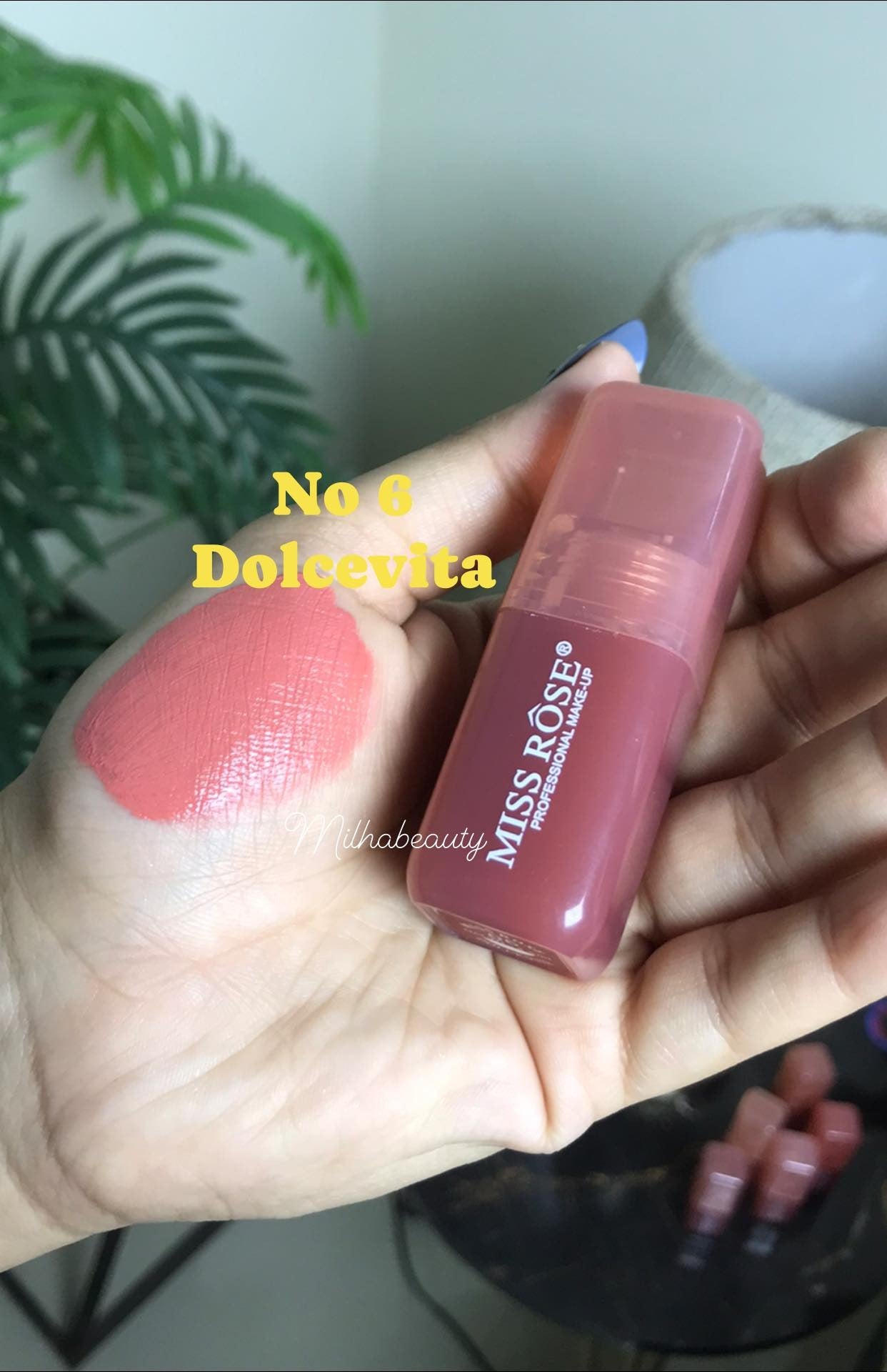 Missrose Blush and Lipstick Filter