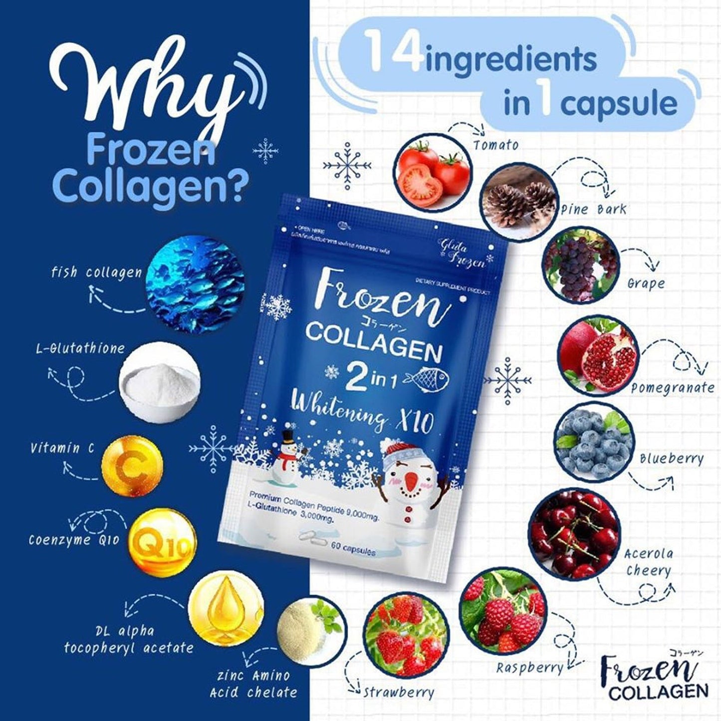 Frozen Collagen gluta 2 in 1 60PC