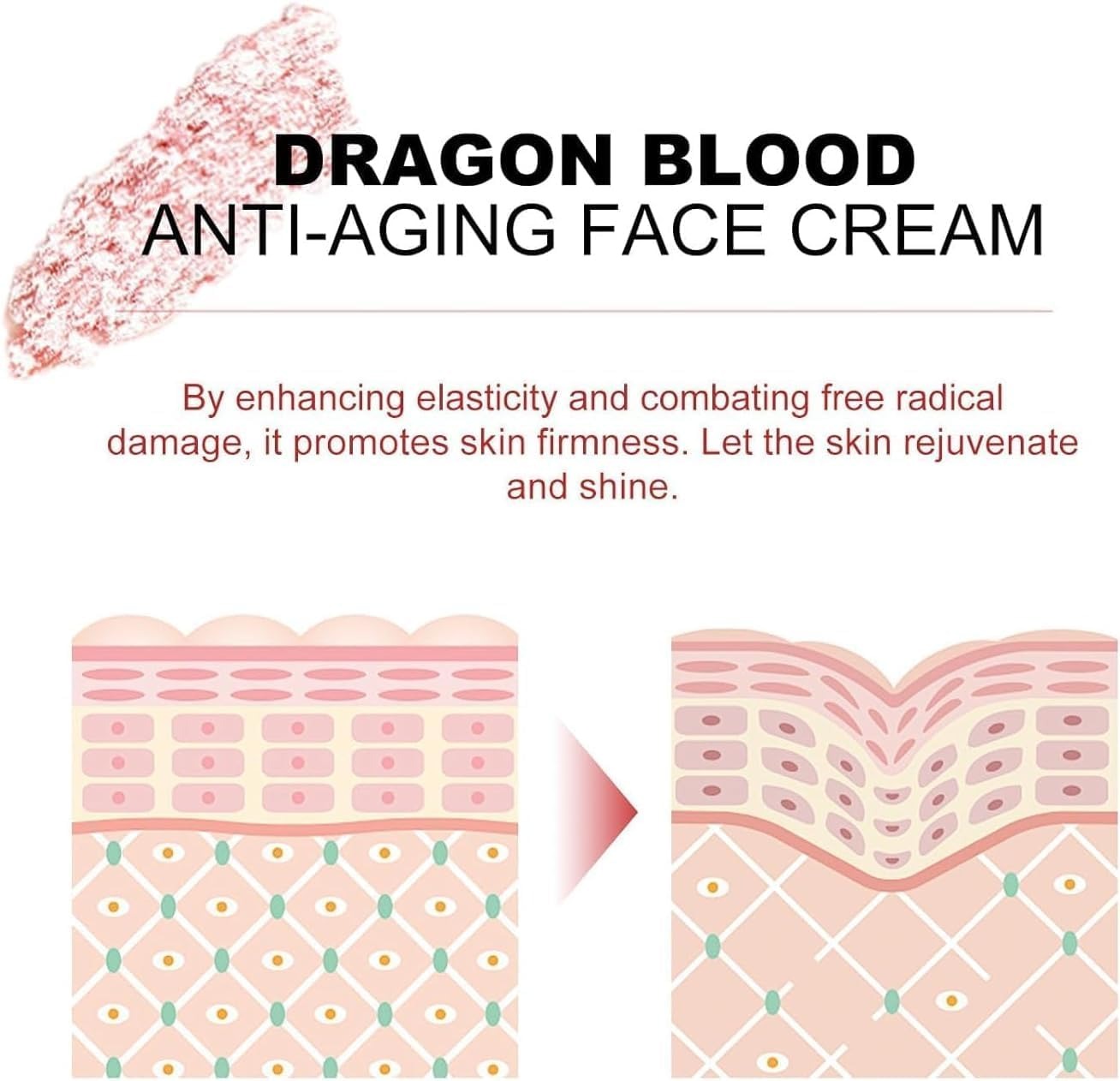 Sadoer Dragon Blood Anti-Aging Face Cream | Hydrating | Helps Reduce Fine Lines & Wrinkles | Korean Skin Care