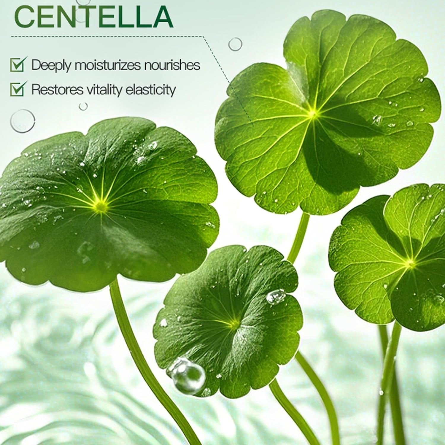 Green centella leaves with water droplets on a light, glossy background, with text reading 'CENTELLA' and bullet points about moisturizing and restoring elasticity.