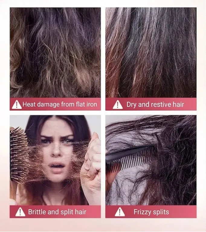 An informational graphic about hair problems, with the headline 'FREQUENTLY ENCOUNTERED HAIR PROBLEMS' and four panels showing damaged, dry, brittle, and frizzy hair, plus text noting heat damage from flat irons, dry restive hair, brittle and split hair, and frizzy splits.